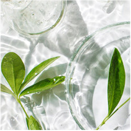 安心・安全の６つの無添加